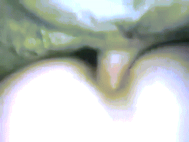 О блять! Я сама хочу, мне больно но я хочу.